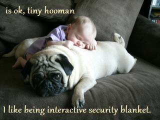 Illustration for article titled Cute Boy Person’s Spirit Animal May Be a Pug